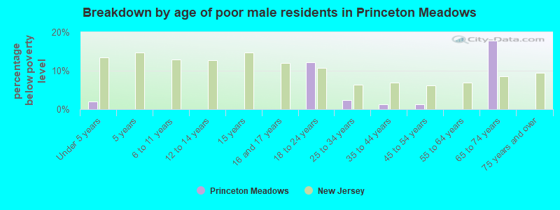 Breakdown by age of poor male residents in Princeton Meadows
