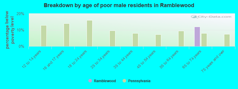Breakdown by age of poor male residents in Ramblewood