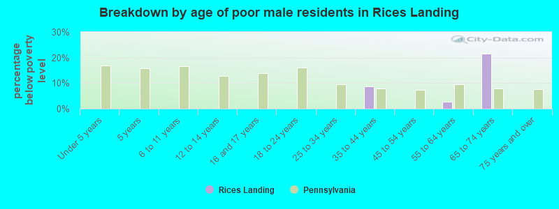 Breakdown by age of poor male residents in Rices Landing