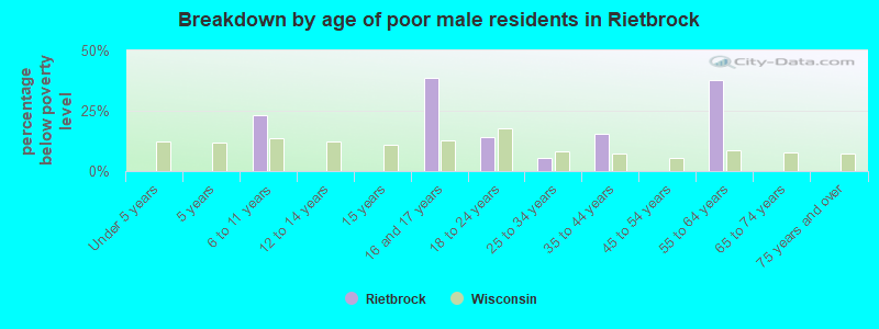 Breakdown by age of poor male residents in Rietbrock