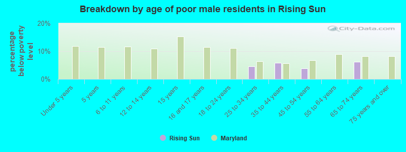 Breakdown by age of poor male residents in Rising Sun