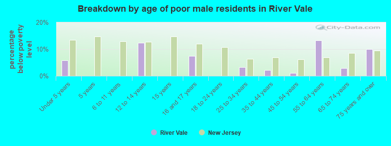 Breakdown by age of poor male residents in River Vale