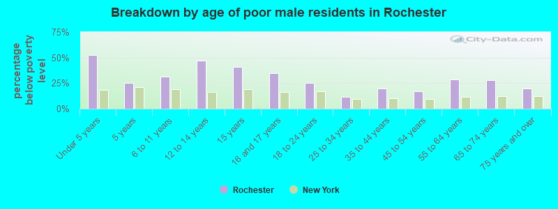 Breakdown by age of poor male residents in Rochester