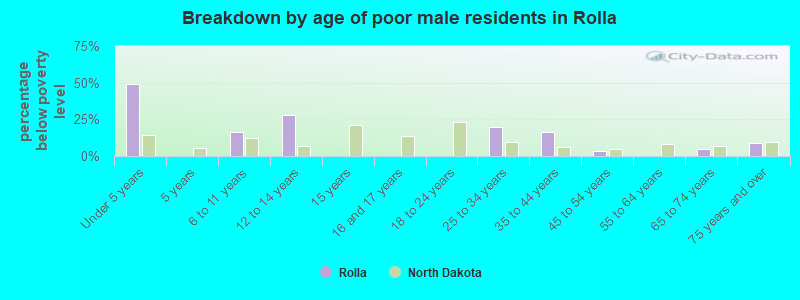 Breakdown by age of poor male residents in Rolla