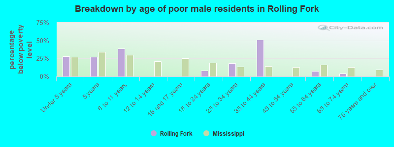 Breakdown by age of poor male residents in Rolling Fork