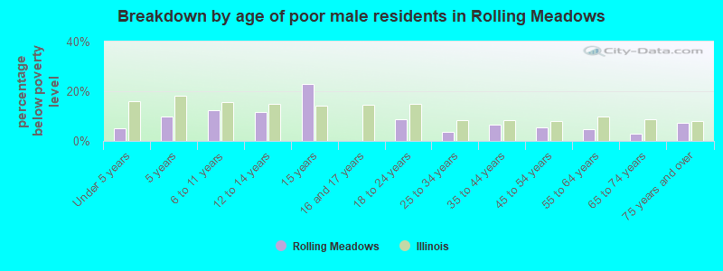 Breakdown by age of poor male residents in Rolling Meadows