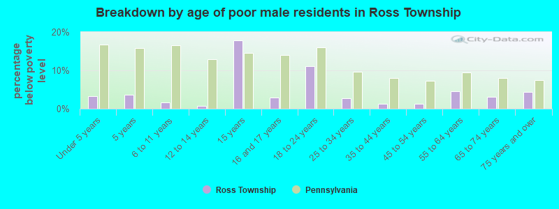 Breakdown by age of poor male residents in Ross Township