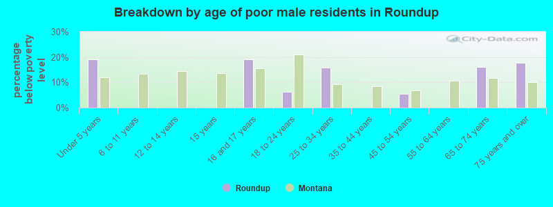 Breakdown by age of poor male residents in Roundup