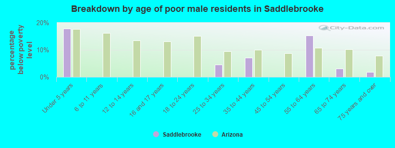 Breakdown by age of poor male residents in Saddlebrooke