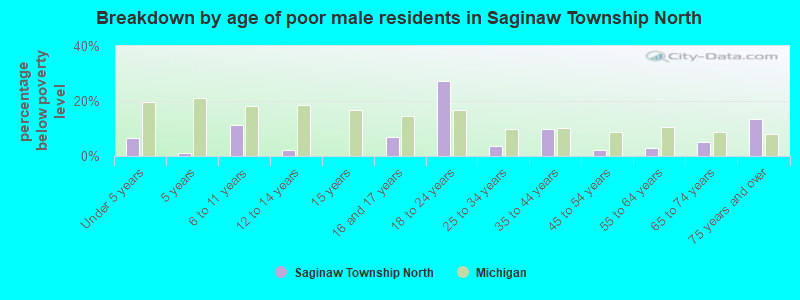 Breakdown by age of poor male residents in Saginaw Township North