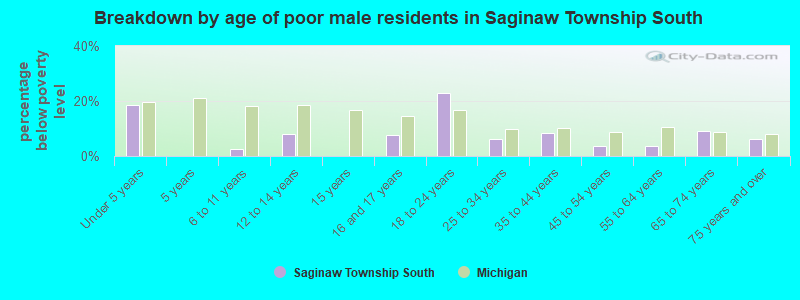 Breakdown by age of poor male residents in Saginaw Township South