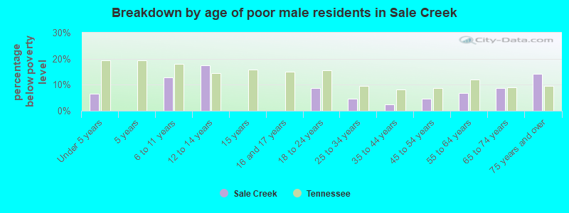 Breakdown by age of poor male residents in Sale Creek