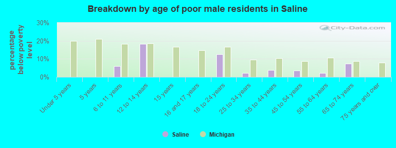 Breakdown by age of poor male residents in Saline