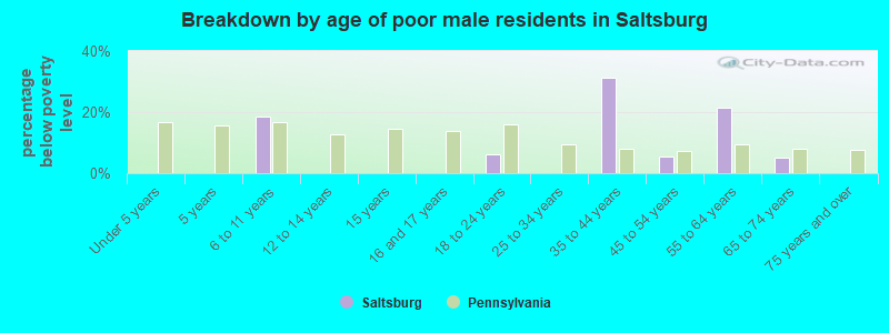 Breakdown by age of poor male residents in Saltsburg