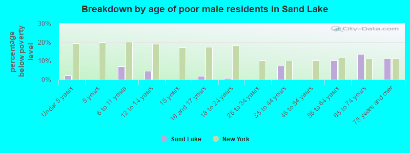 Breakdown by age of poor male residents in Sand Lake