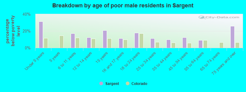 Breakdown by age of poor male residents in Sargent
