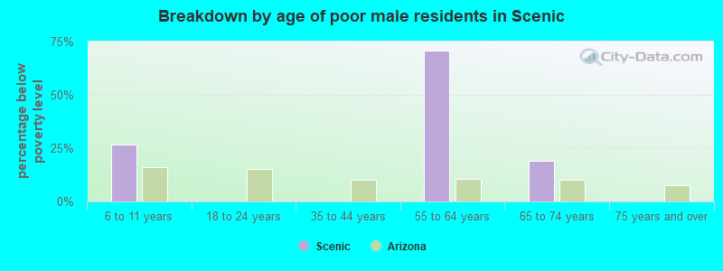 Breakdown by age of poor male residents in Scenic