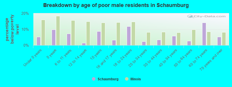 Breakdown by age of poor male residents in Schaumburg