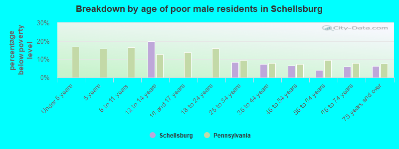 Breakdown by age of poor male residents in Schellsburg