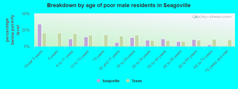 Breakdown by age of poor male residents in Seagoville