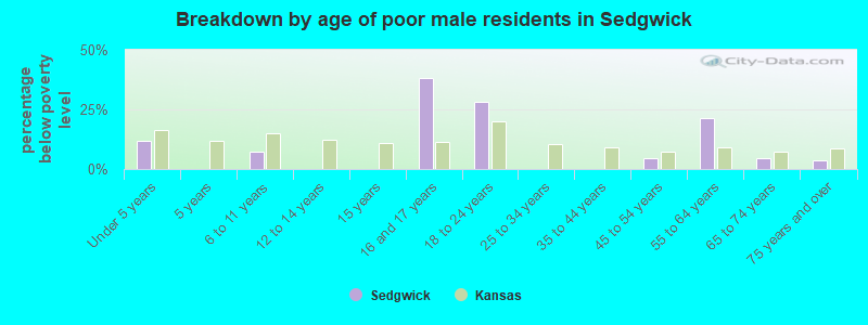 Breakdown by age of poor male residents in Sedgwick