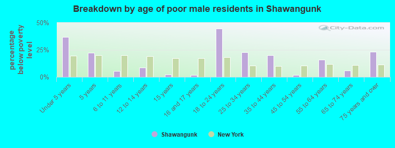Breakdown by age of poor male residents in Shawangunk