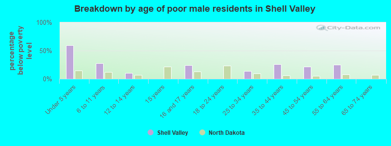 Breakdown by age of poor male residents in Shell Valley