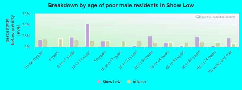 Breakdown by age of poor male residents in Show Low