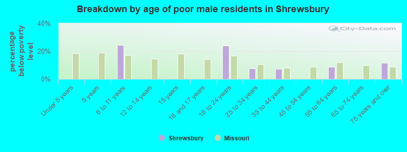 Breakdown by age of poor male residents in Shrewsbury