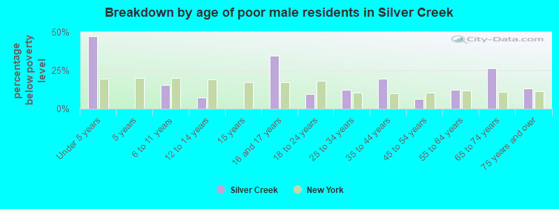 Breakdown by age of poor male residents in Silver Creek