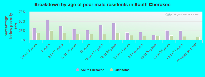 Breakdown by age of poor male residents in South Cherokee