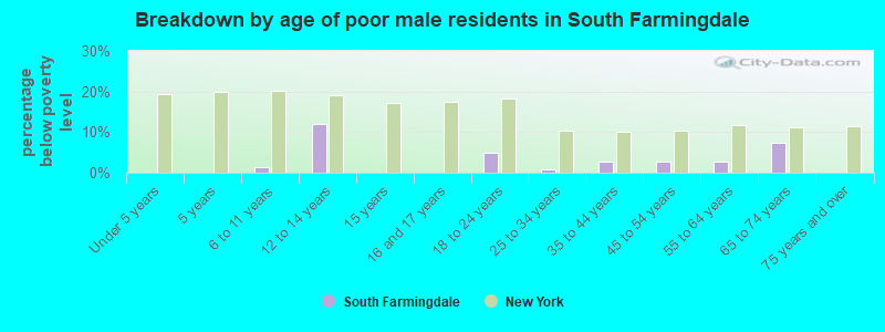 Breakdown by age of poor male residents in South Farmingdale