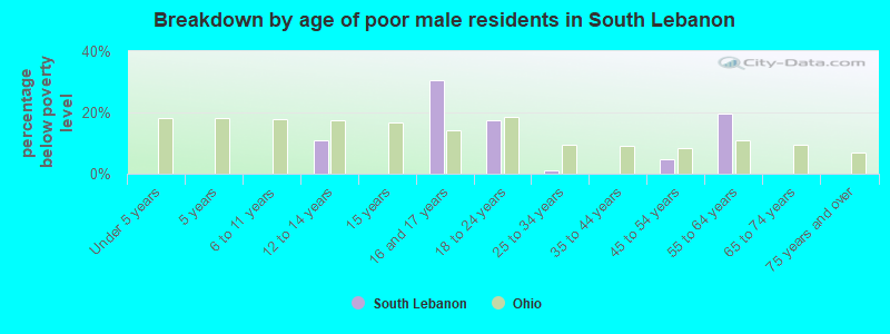 Breakdown by age of poor male residents in South Lebanon