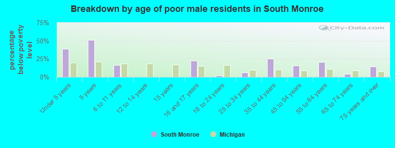 Breakdown by age of poor male residents in South Monroe