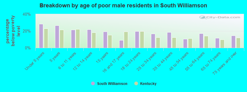 Breakdown by age of poor male residents in South Williamson