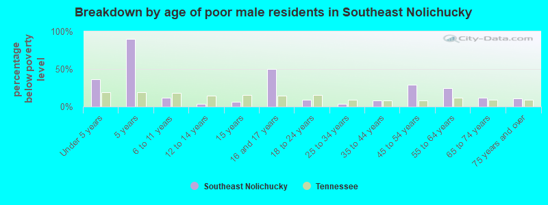 Breakdown by age of poor male residents in Southeast Nolichucky
