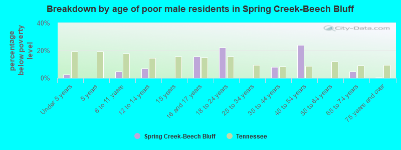Breakdown by age of poor male residents in Spring Creek-Beech Bluff
