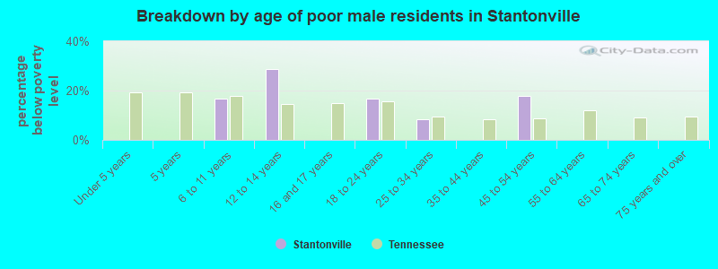 Breakdown by age of poor male residents in Stantonville