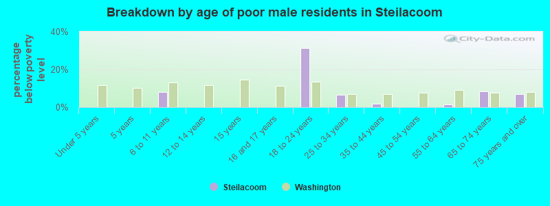 Breakdown by age of poor male residents in Steilacoom