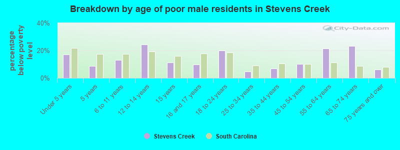 Breakdown by age of poor male residents in Stevens Creek