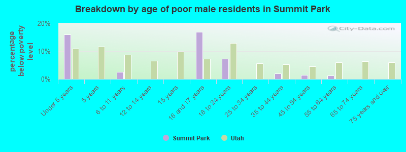 Breakdown by age of poor male residents in Summit Park
