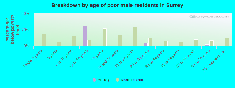 Breakdown by age of poor male residents in Surrey