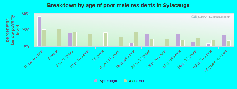 Breakdown by age of poor male residents in Sylacauga