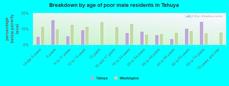 Breakdown by age of poor male residents in Tahuya