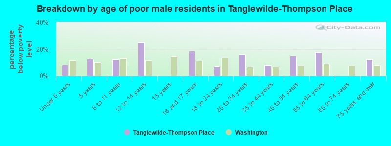 Breakdown by age of poor male residents in Tanglewilde-Thompson Place