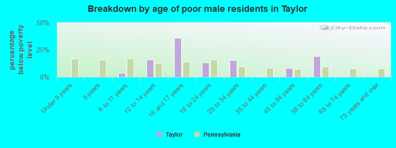 Breakdown by age of poor male residents in Taylor