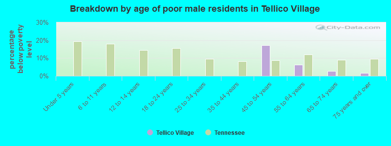 Breakdown by age of poor male residents in Tellico Village