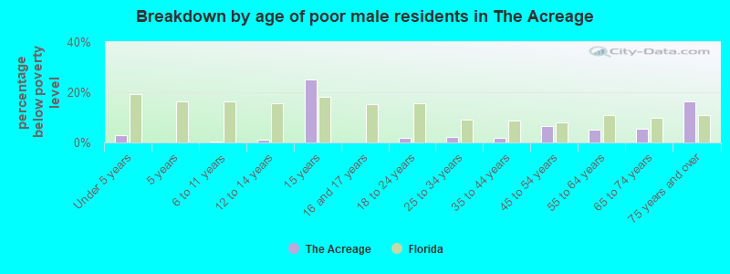 Breakdown by age of poor male residents in The Acreage