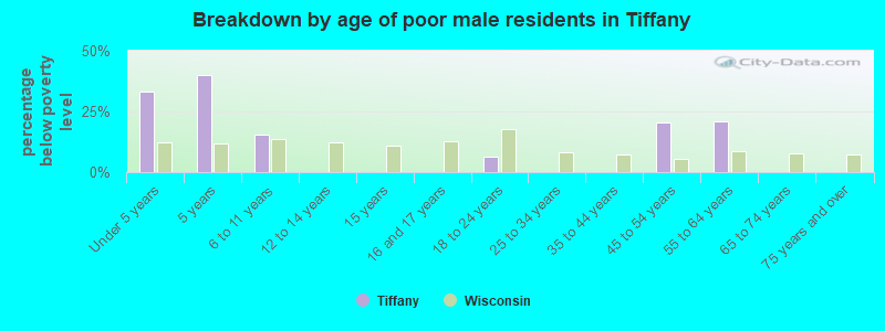 Breakdown by age of poor male residents in Tiffany