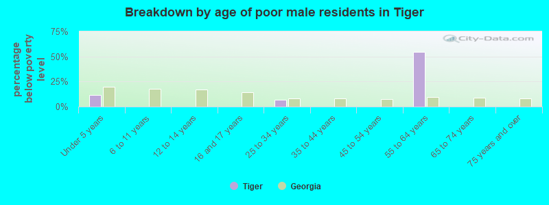 Breakdown by age of poor male residents in Tiger